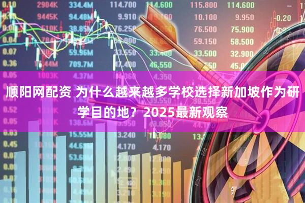 顺阳网配资 为什么越来越多学校选择新加坡作为研学目的地？2025最新观察