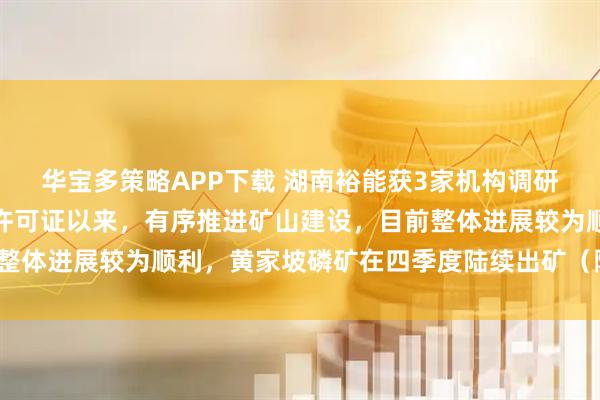 华宝多策略APP下载 湖南裕能获3家机构调研：公司自取得磷矿采矿许可证以来，有序推进矿山建设，目前整体进展较为顺利，黄家坡磷矿在四季度陆续出矿（附调研问答）